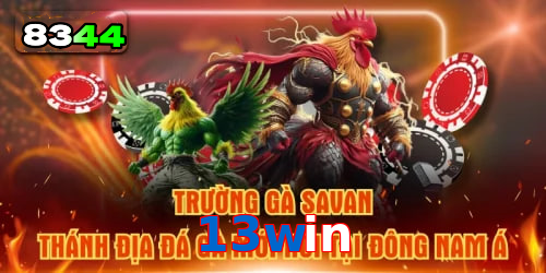 Mơ thấy cá chép – vận may trong học vấn và sự nghiệp